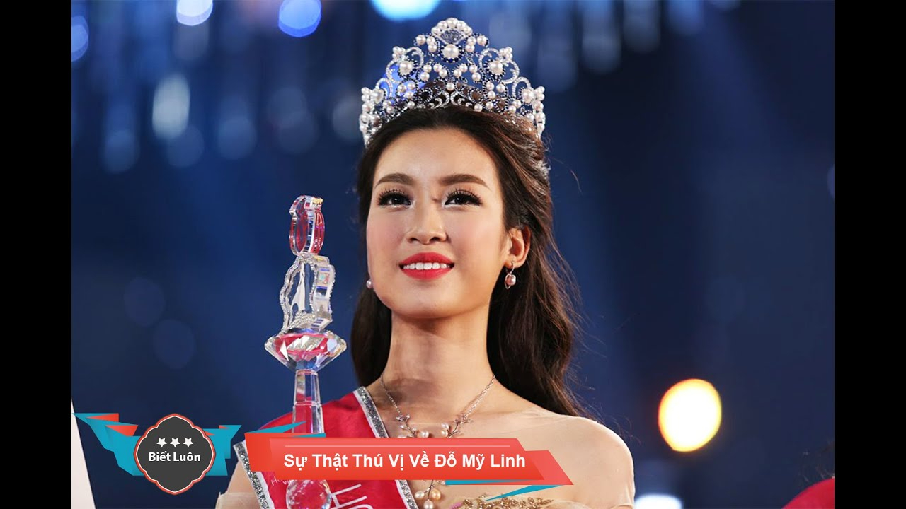 Chính sách đại lý của Hotspot Matrix: Cơ hội hợp tác bền vững trong ngành video ngắn_Học biên tập video trực tuyến